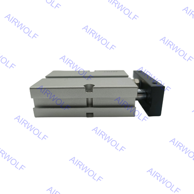 TN20X90S TN20X100S TN20X125S TN серии AirTAC Двойной действующий цилиндр с двумя прутками